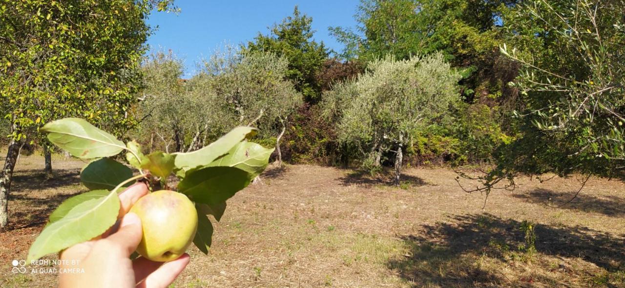La Stanza Del Sole ξενώνας Matraia Εξωτερικό φωτογραφία