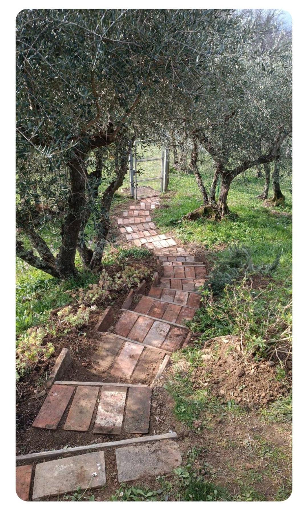 La Stanza Del Sole ξενώνας Matraia Εξωτερικό φωτογραφία